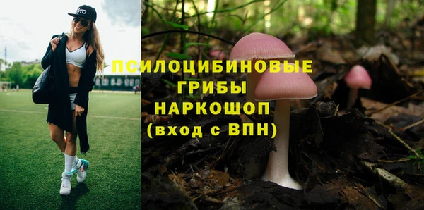 марихуана Абаза