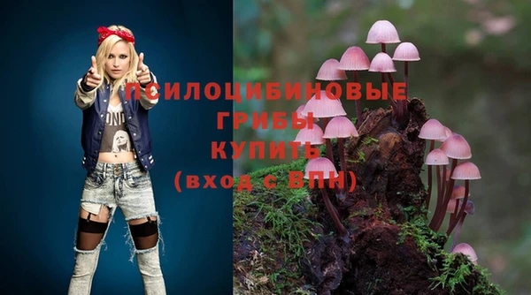 марихуана Абаза